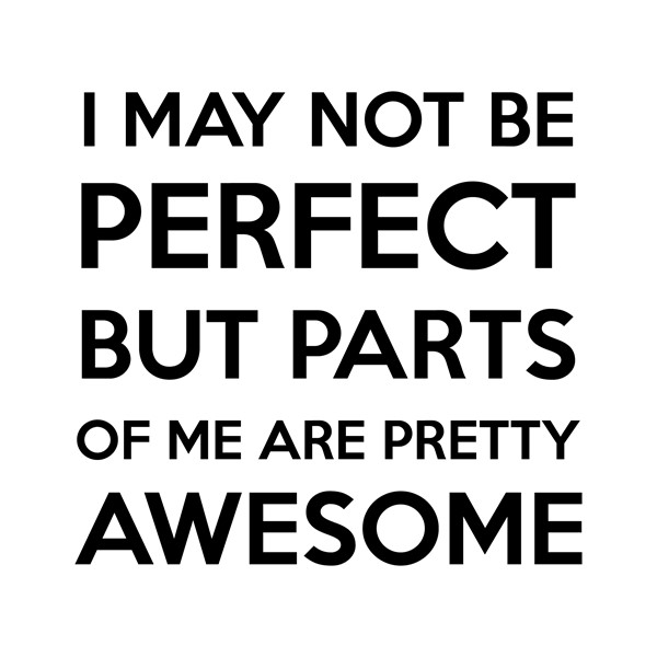 Majica I may not be perfect