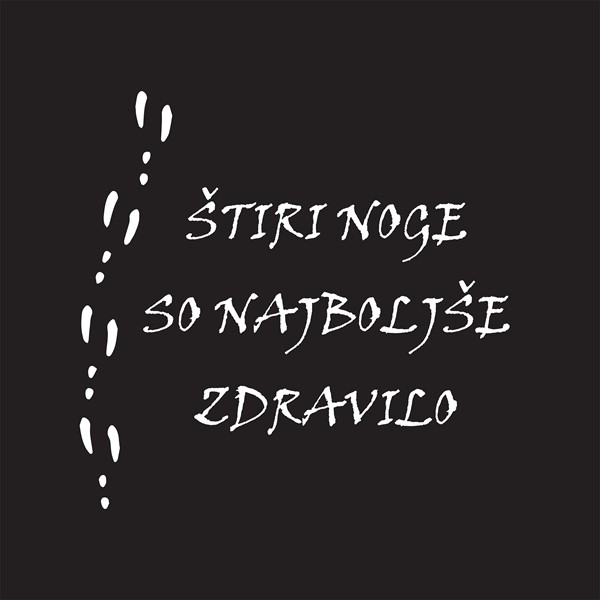 Majica Štiri noge so najboljše zdravilo