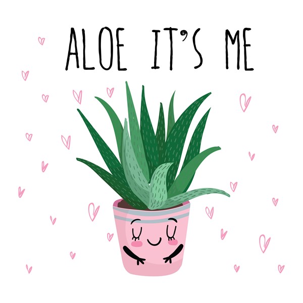 Skodelica Aloe its me