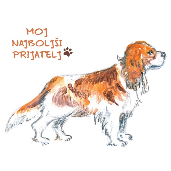 Skodelica Pes Cavalier