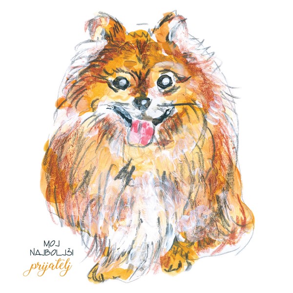 Skodelica Pes Pomeranec