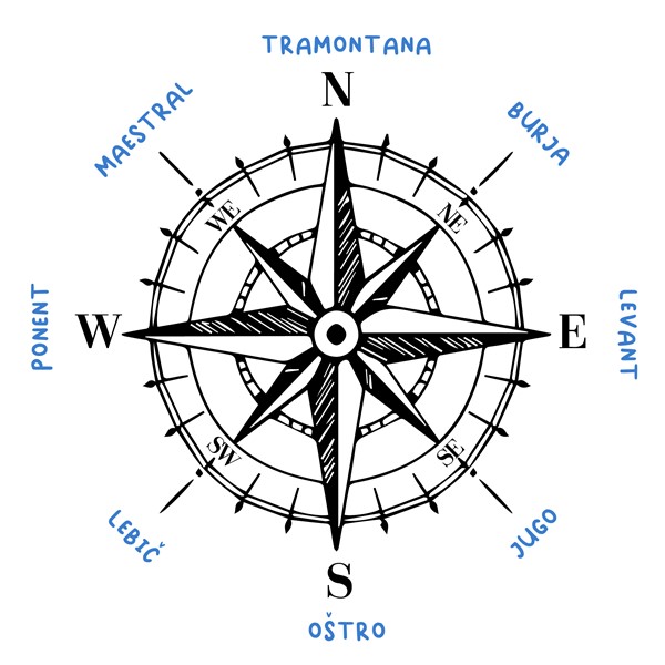 Skodelica Roza vetrov