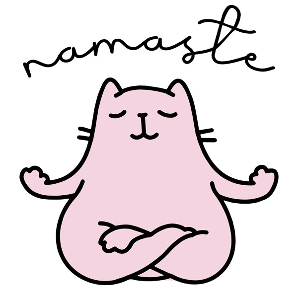 Skodelica Namaste