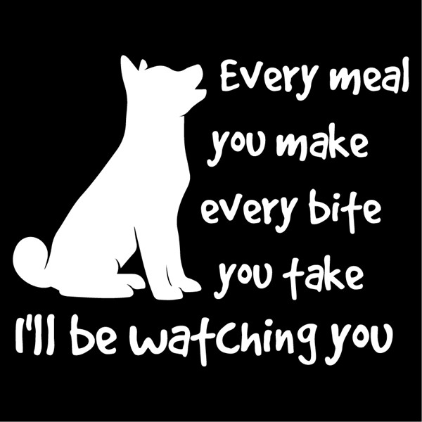 Predpasnik Every meal you make