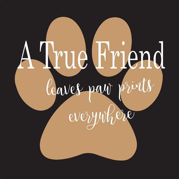 Majica A true friend leaves paw print