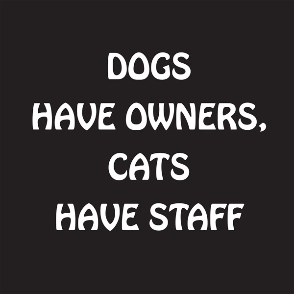 Majica Dogs have owners cats have staff