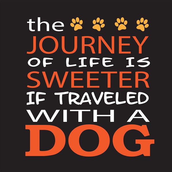 Majica The yourney of life is sweeter