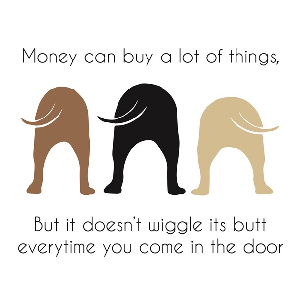 Skodelica Money can buy a lot of things but it doesent wigle its but