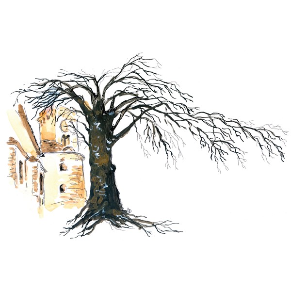 Skodelica Ljubljana dl 02