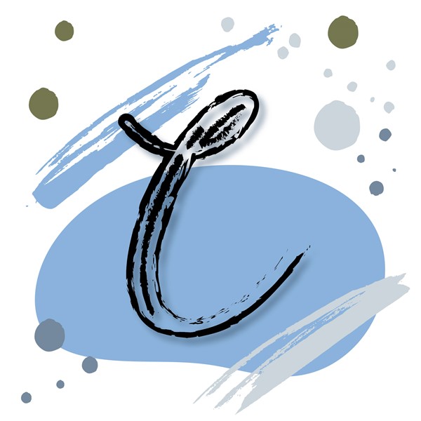 Skodelica C_monogram-modra